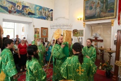 ����������� 116